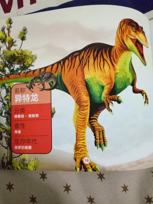 加鼻子真有趣