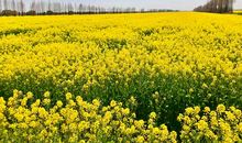 分享的感觉真好