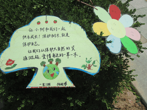 爱绿色，保护绿色，从我开始