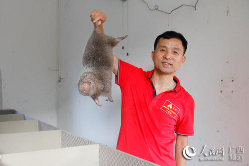 没有秘书