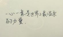 春的力量，温柔了世界