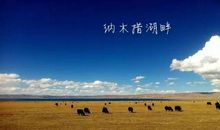 珍藏在我心中的美