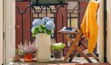 我家的迷你小花园