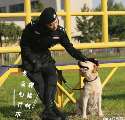 警花和警犬的后果
