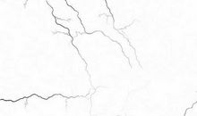 我的爱好——读书