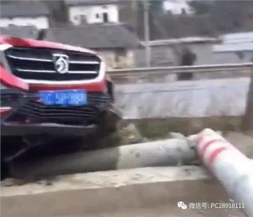 阅读和打电线杆