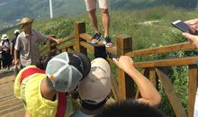 慰藉心灵的日子