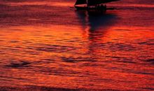 就这样，我选择了“光明”