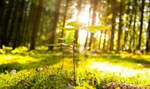 阅读是最美的人生状态