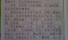 关于待人处事的作文