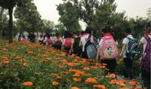 只拣春色多处行