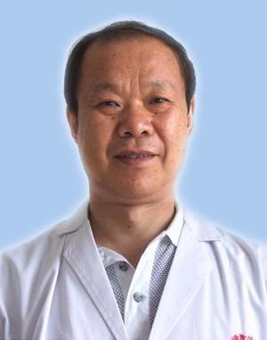 陆新历险记