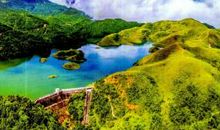 森林的四季交响曲