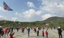 寻找彼岸的风筝