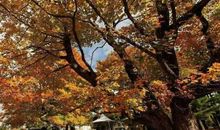 沉醉在母爱的世界里