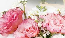 妈妈，那次是我不好