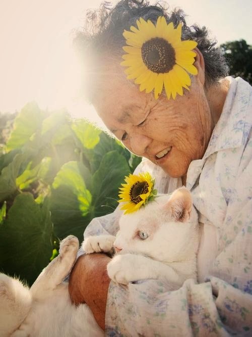 奶奶的猫