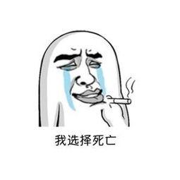 这样，我选择专心