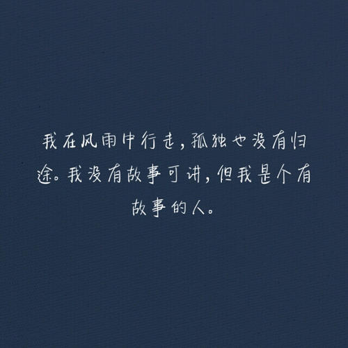 我在风雨中看到一双结实的翅膀
