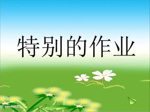 一项特殊任务