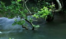 涓涓细流坎儿井