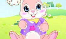 观察可爱的小白兔