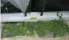 我们家多了个新成员