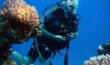 我多想到海底去看看