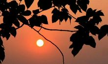 夕阳，为我而红艳