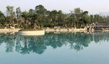 美丽的明月岛公园