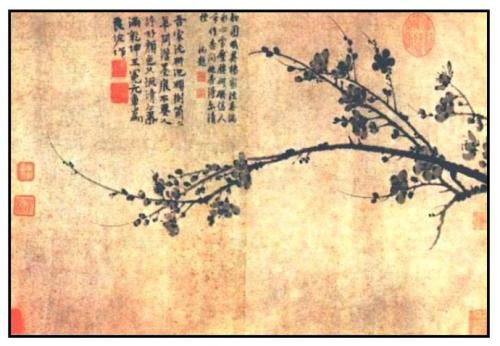 扩展“魔美”