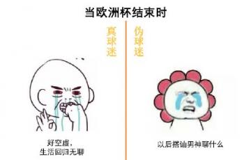 我的假粉丝