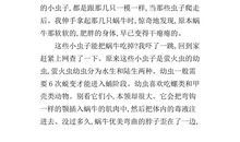 我的新发现作文