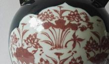 白翅我想对你说