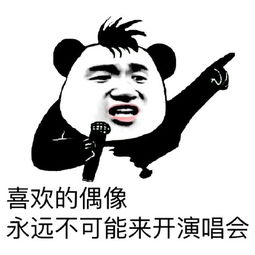 我永远的偶像
