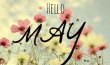 你好五月