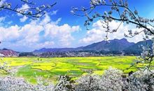 让青春之美飞扬