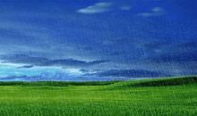 又遇淫雨霏霏时