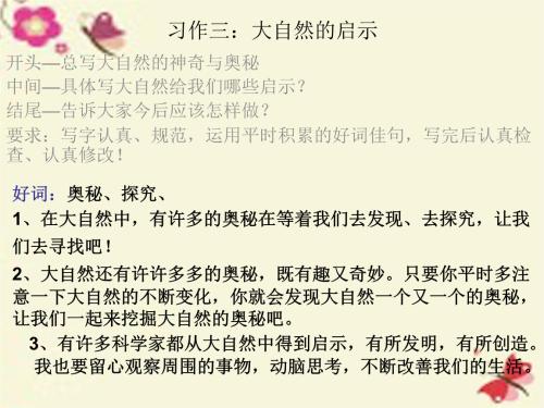 大自然的启示