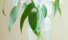 爱在岁月里静好