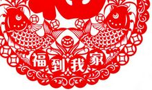 我家来了“鸡大人”