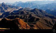 让心灵在书中徜徉