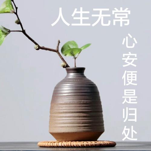 安心在家