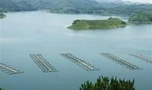 家乡的十里长湖