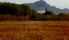 有你同行，真好