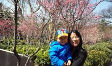 诗情画意的春天