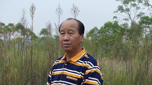 在田野里寻找青年