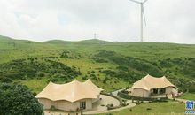 心中的那片绿地