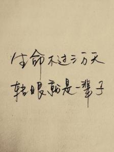 爱在纸上