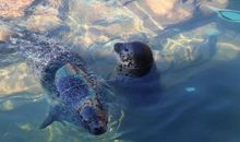 一场令人难忘的活动